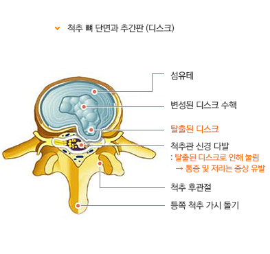 기능과 역할